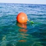 Floating Buoys